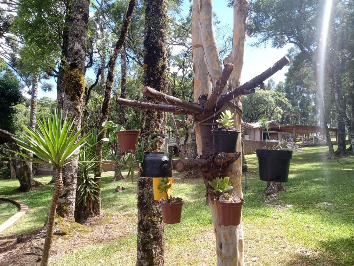Cabana Romance - Recanto Da Natureza Canela Extérieur photo