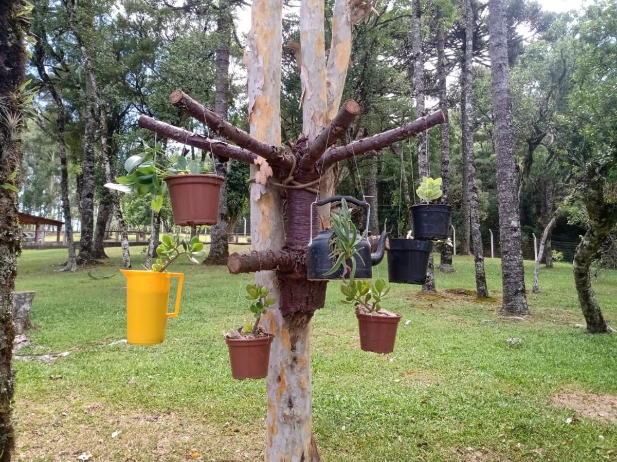 Cabana Romance - Recanto Da Natureza Canela Extérieur photo