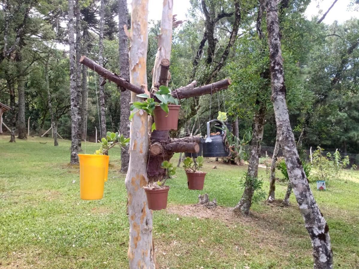 Cabana Romance - Recanto Da Natureza Canela Extérieur photo
